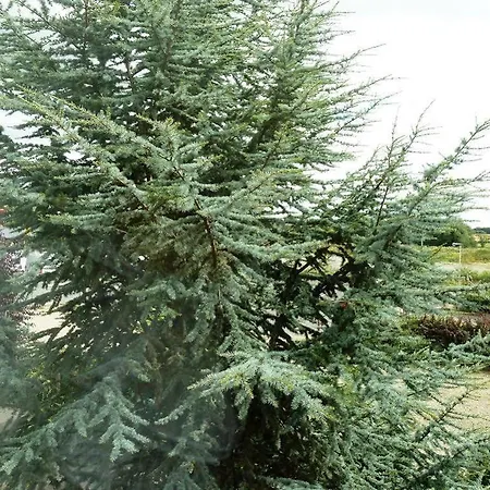 At Leeming Bar Ξενοδοχείο
